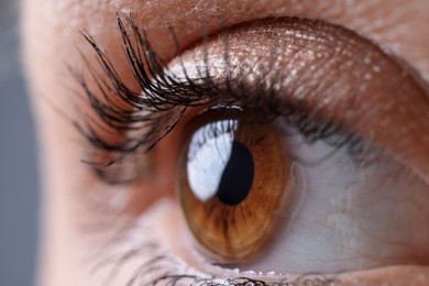 Photo of Macro view of woman with beautiful eyes on grey background, closeup
