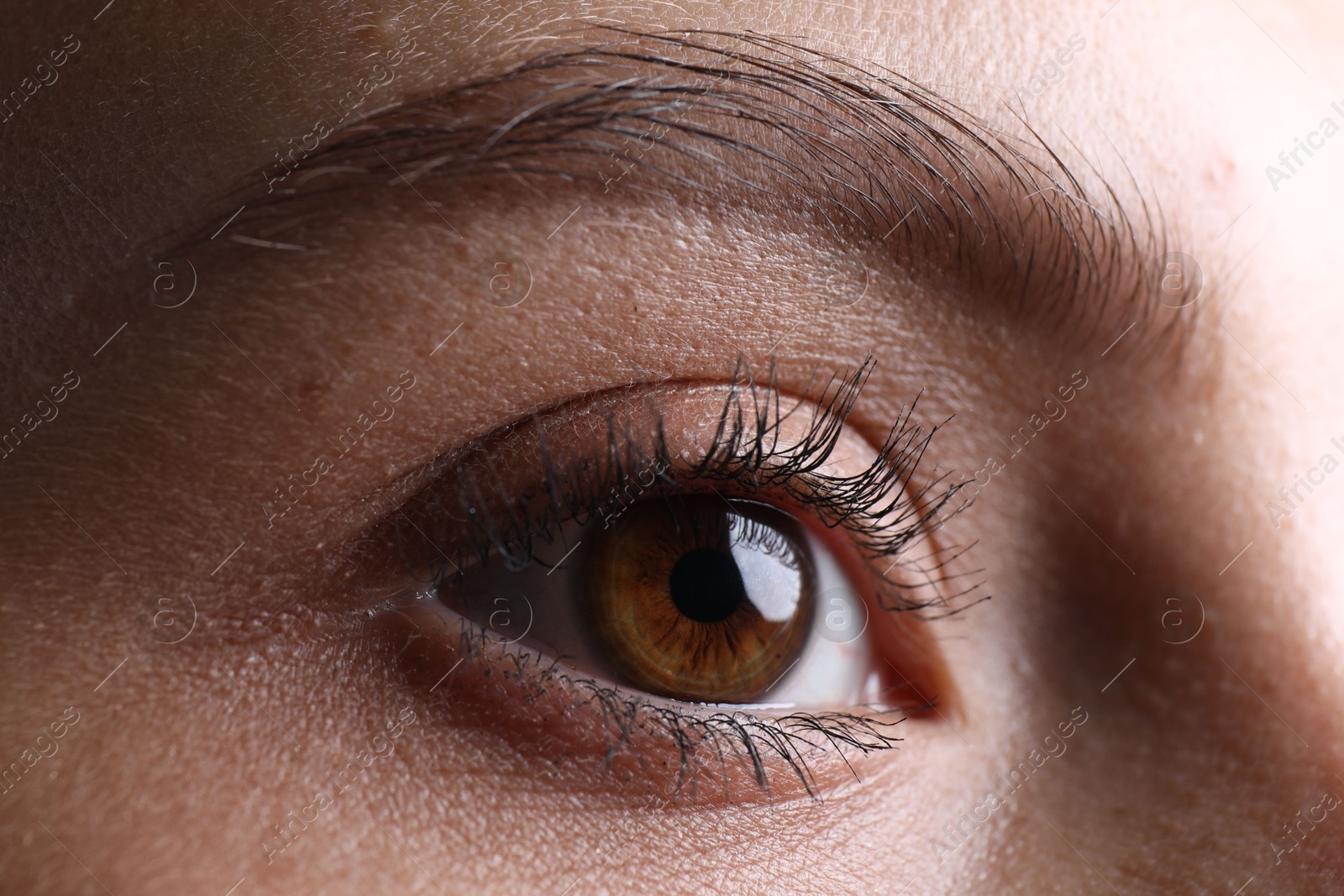 Photo of Closeup view of woman with beautiful eyes