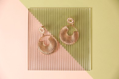 Photo of Beautiful gold earrings on color background, top view