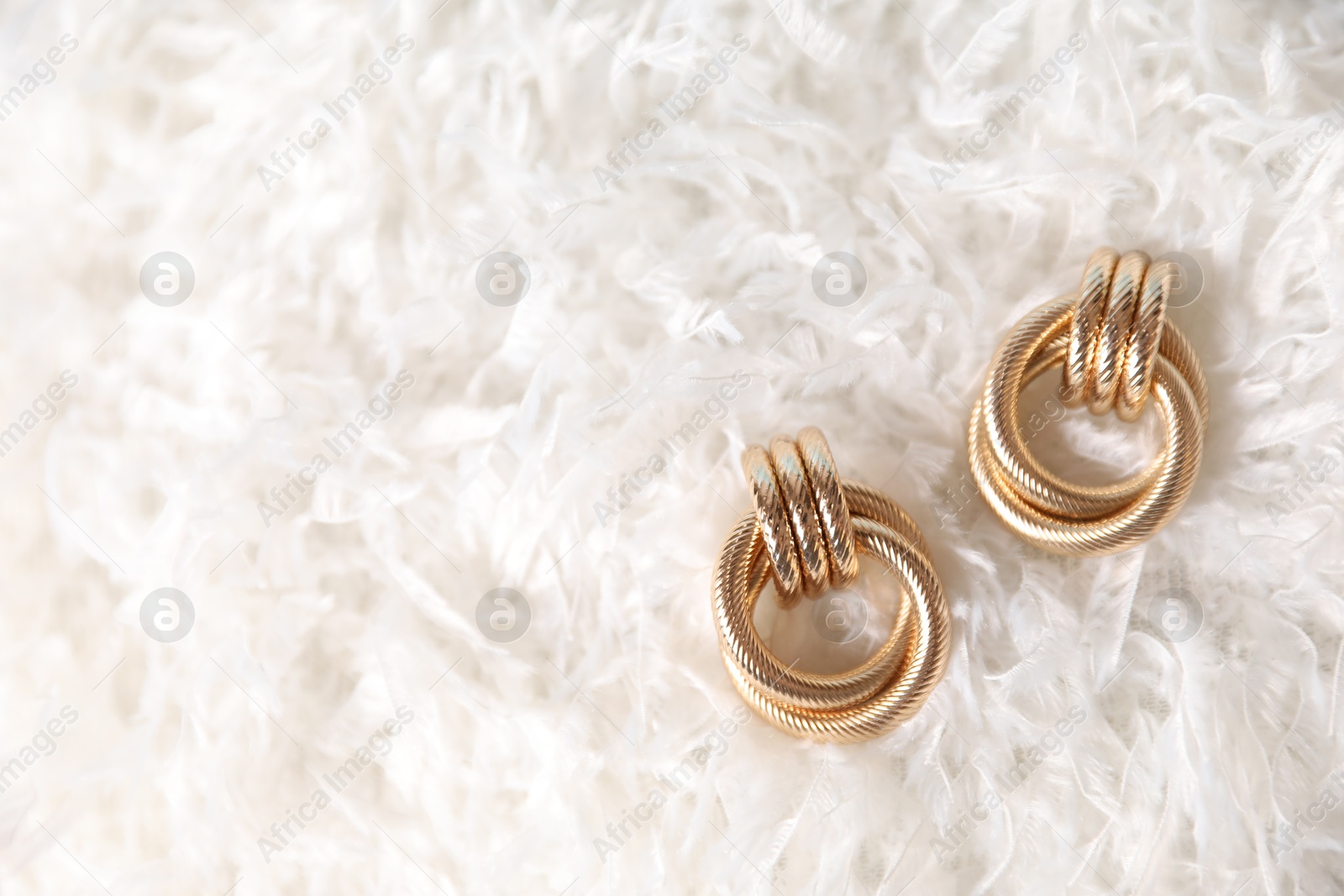 Photo of Beautiful gold earrings on feathers, flat lay. Space for text