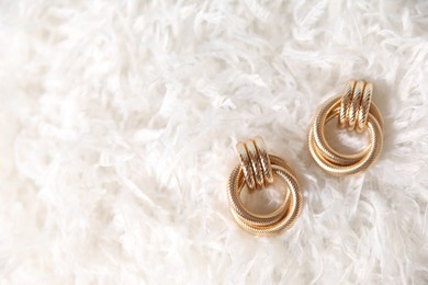 Photo of Beautiful gold earrings on feathers, flat lay. Space for text