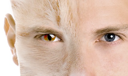 Image of Young man with half face as cat, double exposure. Collage on white background