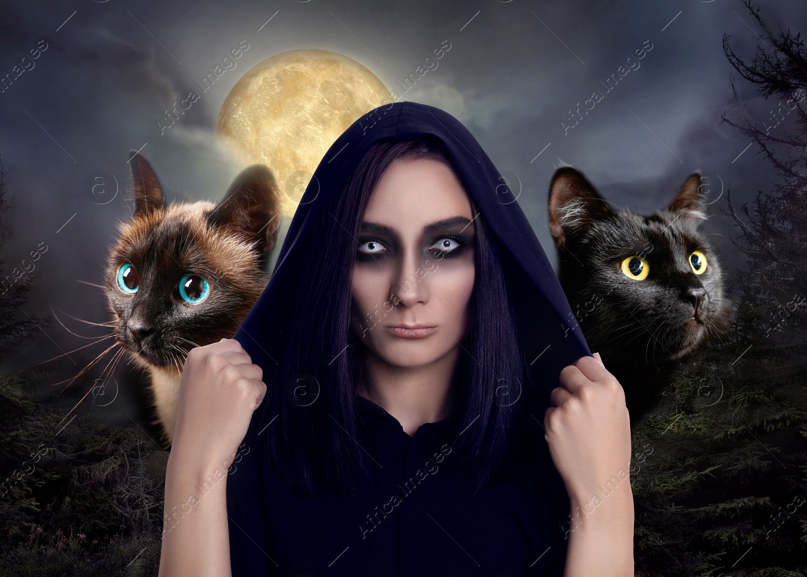 Image of Mysterious witch with spooky eyes and cats beside her outdoors at full moon night