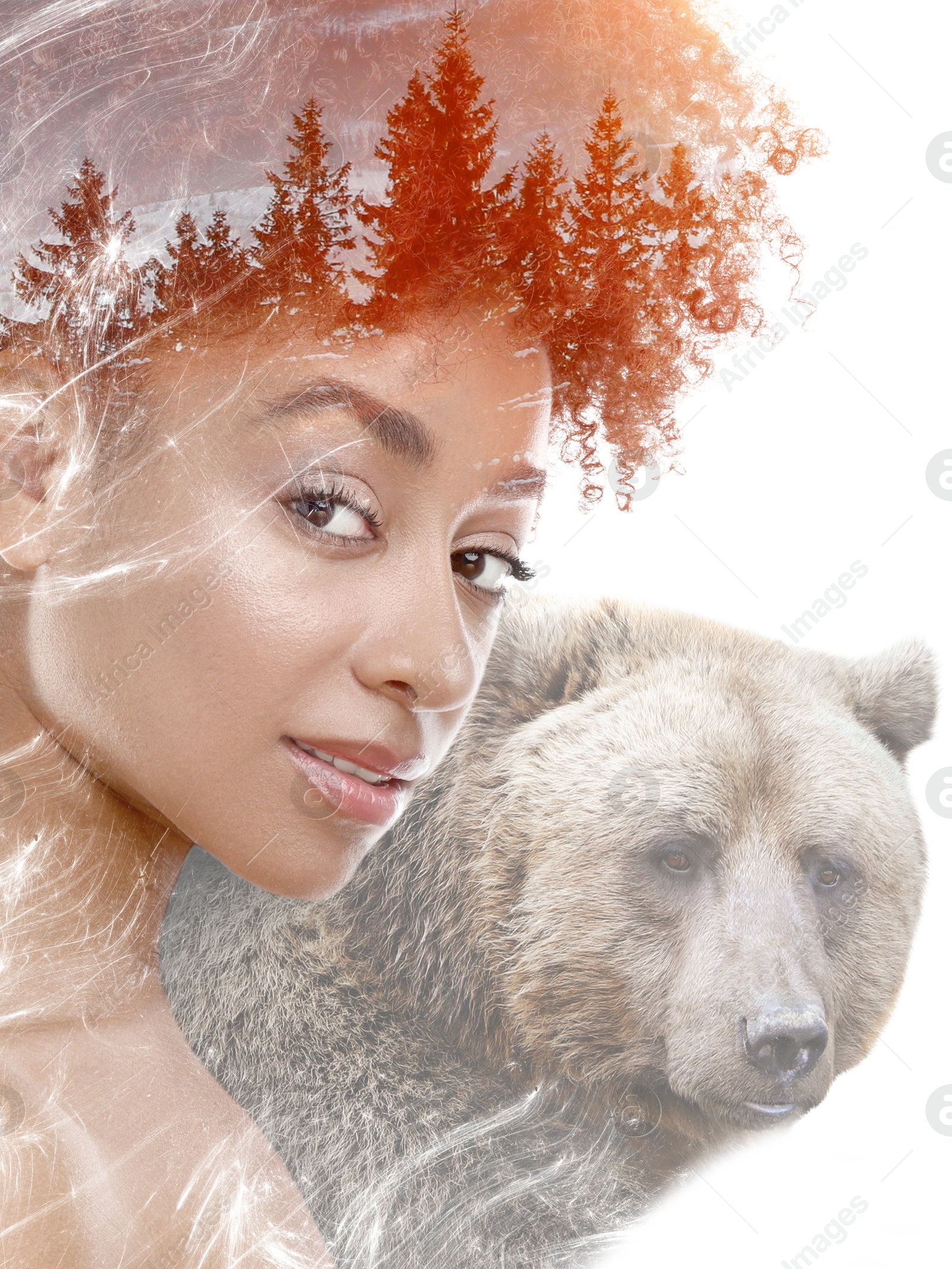 Image of Beautiful woman and bear, double exposure. Collage on white background