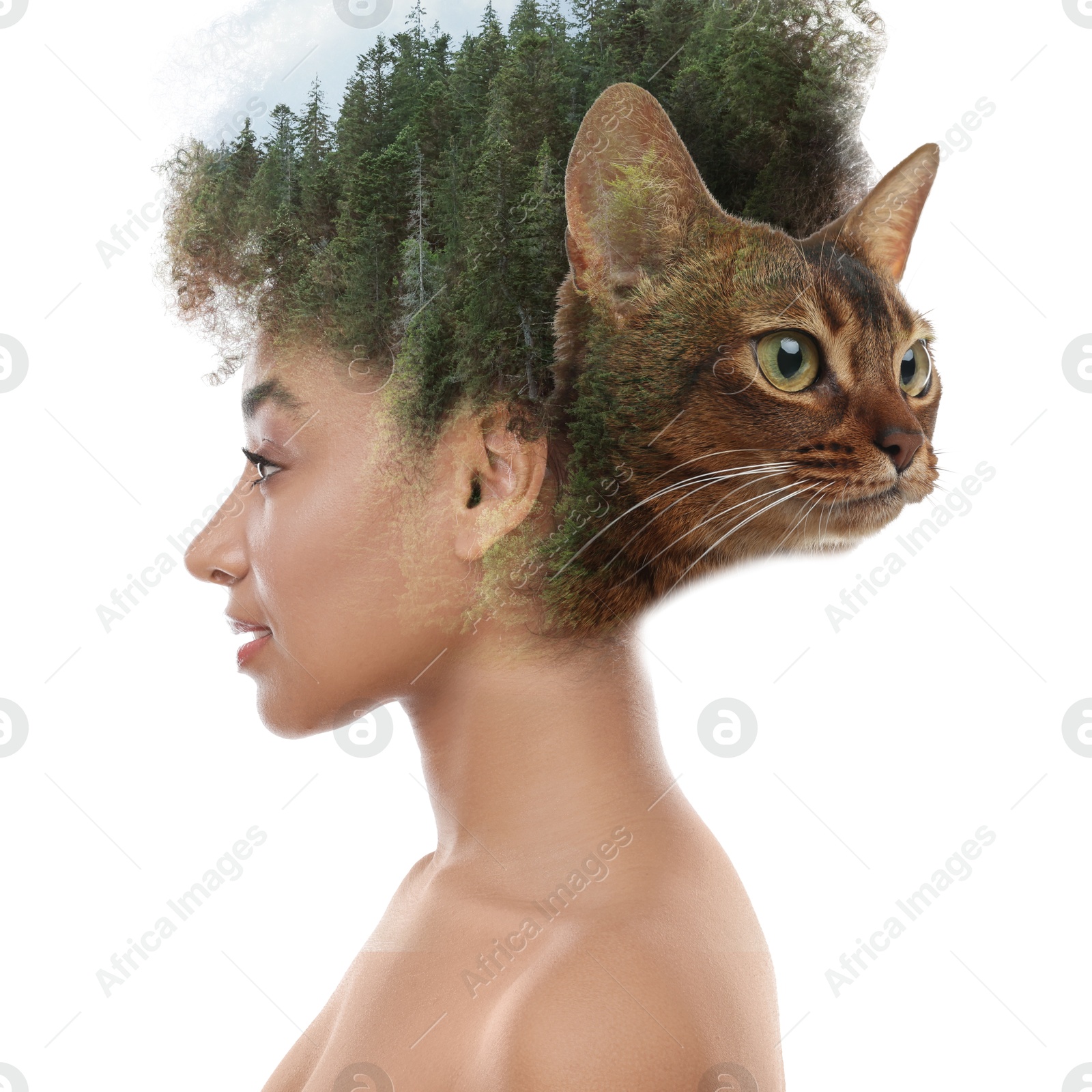 Image of Beautiful woman and cat, multiple exposure with forest. Collage on white background