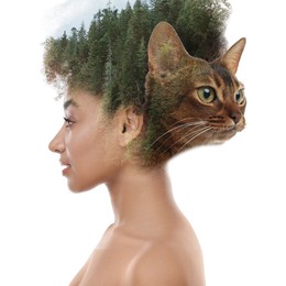 Image of Beautiful woman and cat, multiple exposure with forest. Collage on white background