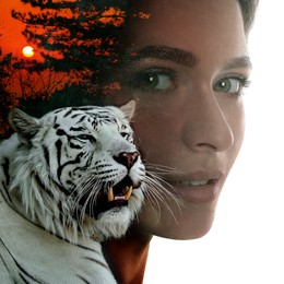 Image of Beautiful young woman and tiger, multiple exposure with trees at sunset. Collage on white background