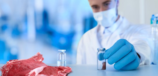 Image of Food analysis. Laboratory worker examining sample of fresh meat
