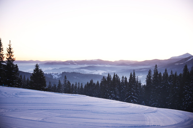 Picturesque view of snowy hill and conifer forest. Winter beauty