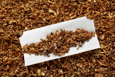 Photo of Paper and tobacco, closeup. Making hand rolled cigarette