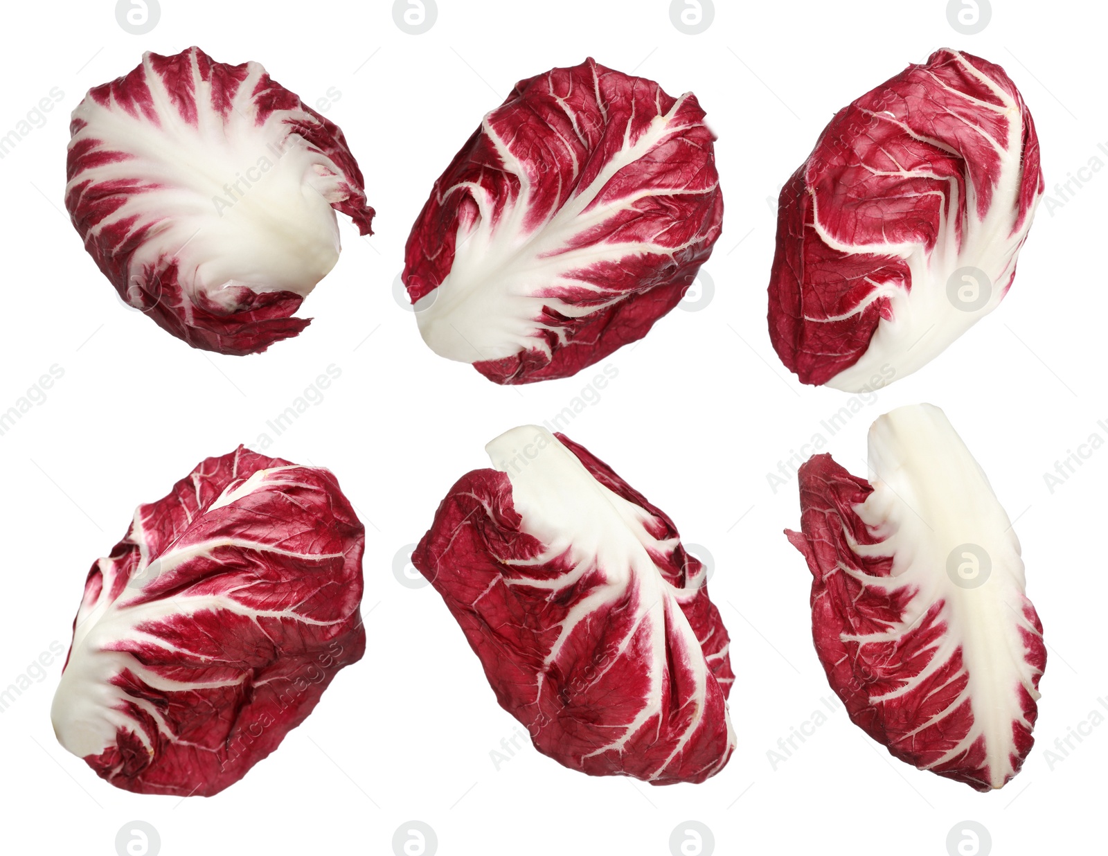 Image of Set with fresh ripe radicchio leaves on white background 