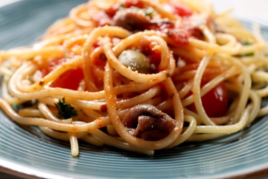 Delicious pasta with anchovies, tomatoes and parmesan cheese on plate, closeup