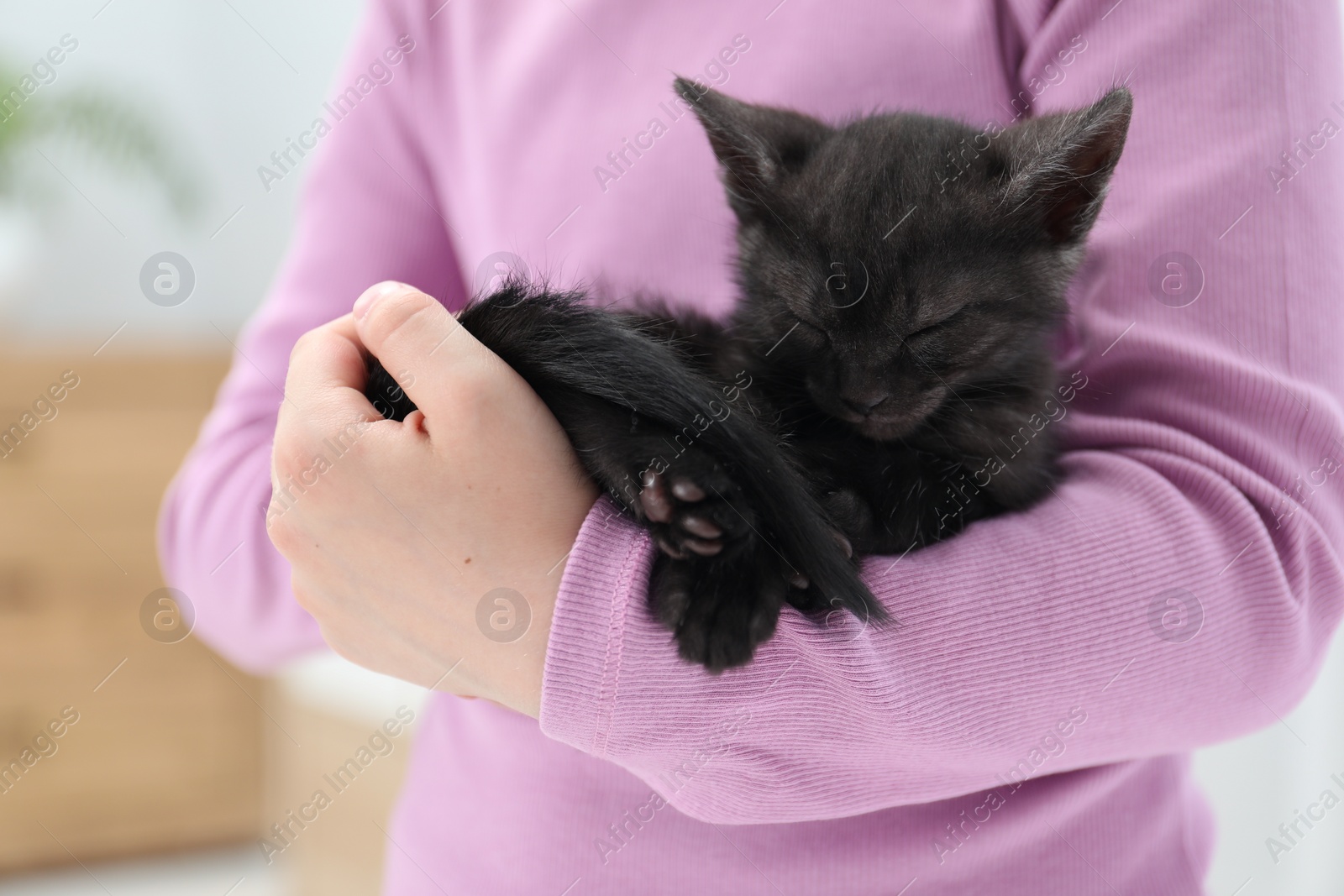 Photo of Little girl with cute fluffy kitten indoors, closeup