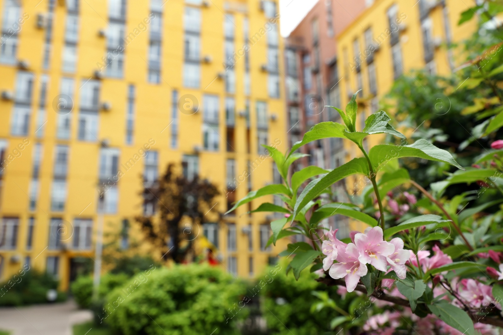 Photo of KYIV, UKRAINE - MAY 21, 2019: Blurred view of modern housing estate COMFORT TOWN in Dniprovskyi district on sunny day