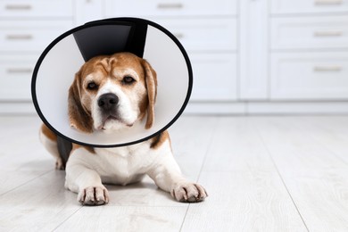 Photo of Adorable Beagle dog wearing medical plastic collar on floor indoors, space for text
