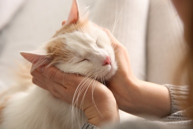 Woman with cute fluffy cat on blurred background, closeup