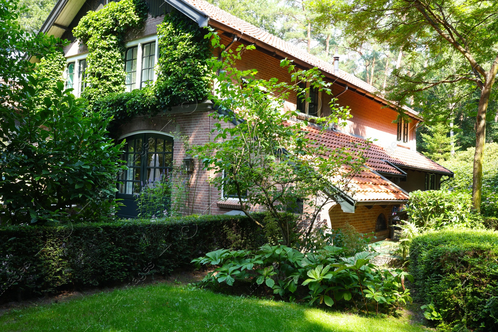 Photo of Picturesque view of beautiful house and plants on sunny day