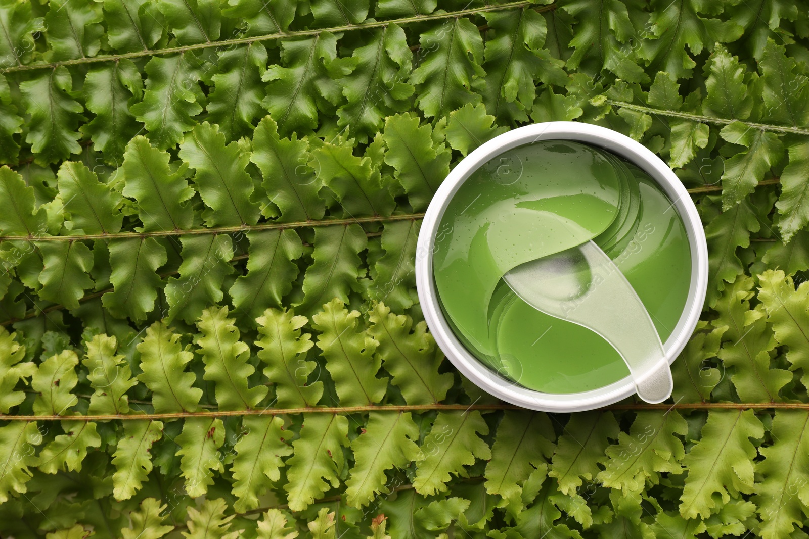 Photo of Jar of under eye patches with spoon on green fern leaves, top view and space for text. Cosmetic product