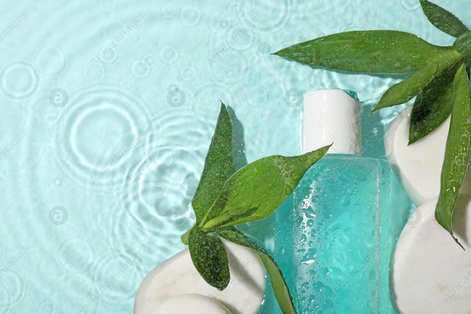 Photo of Wet bottle of micellar water, cotton pads and green twigs on light blue background, flat lay. Space for text