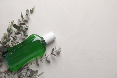 Photo of Fresh mouthwash in bottle and eucalyptus branches on light background, top view. Space for text