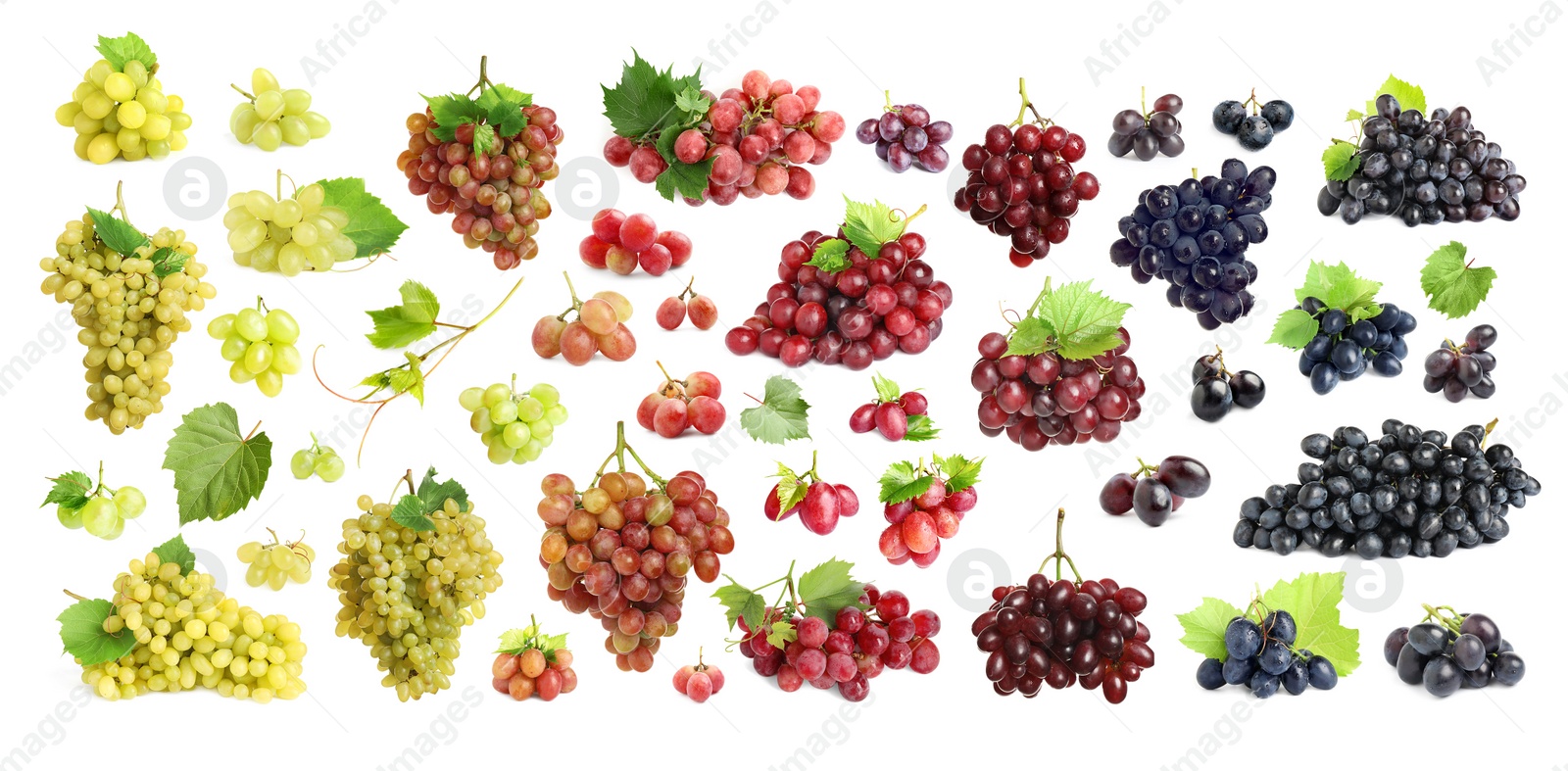 Image of Set with different fresh ripe grapes on white background. Banner design