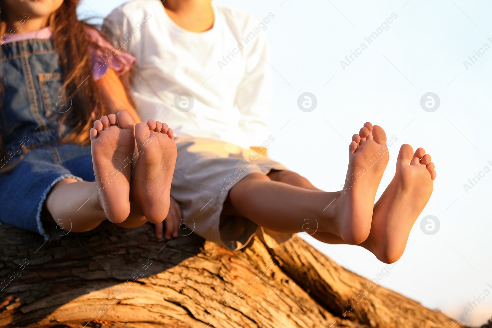 Photo of Cute little children outdoors, closeup. Spending time in nature