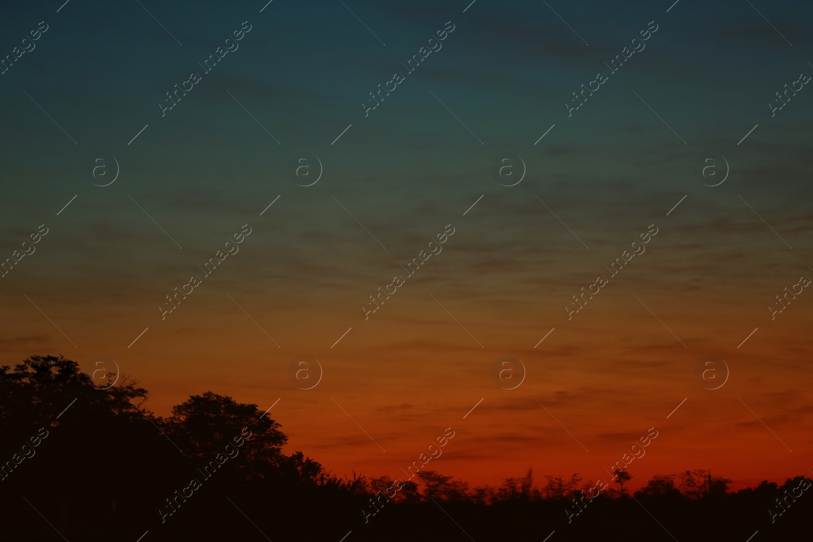 Photo of Picturesque view of beautiful sky lit by setting sun