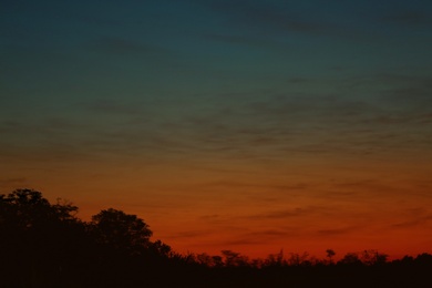 Photo of Picturesque view of beautiful sky lit by setting sun