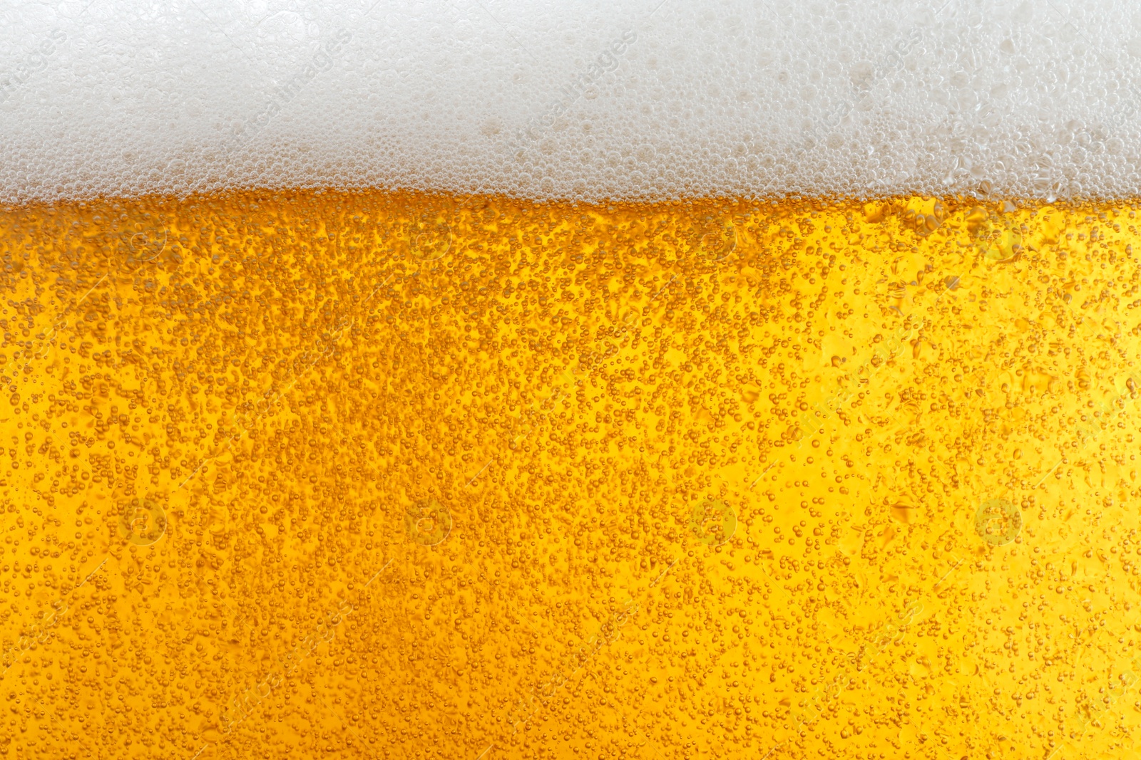 Photo of Glass of tasty beer with foam, closeup