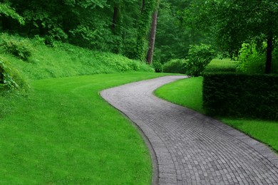 Photo of Beautiful green park with paved pathway. Landscape design