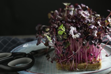 Photo of Fresh radish microgreen and scissors on table, closeup