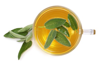 Photo of Cup of aromatic sage tea and fresh leaves on white background, top view