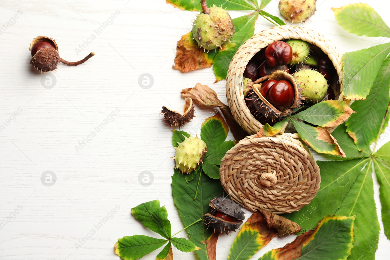 Photo of Horse chestnuts and wicker basket on white wooden table, flat lay. Space for text