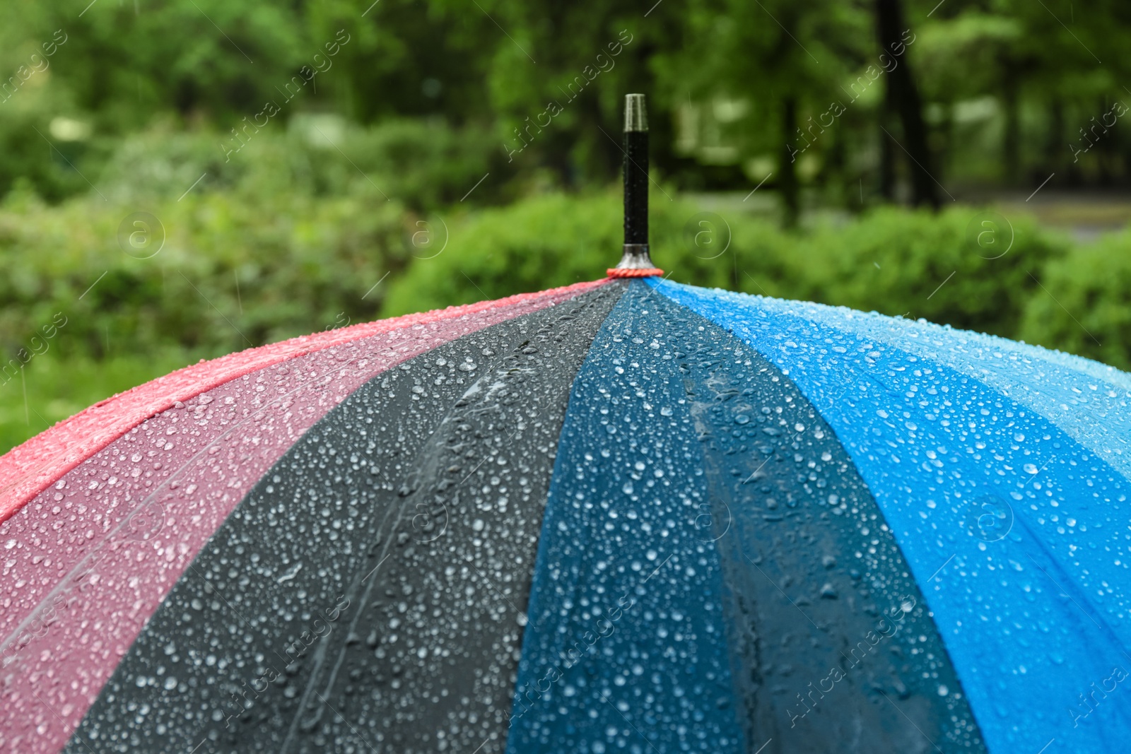 Photo of Bright modern umbrella under rain in green park, closeup