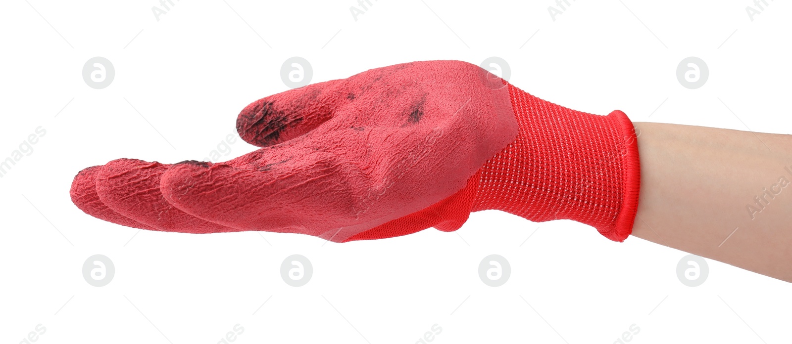 Photo of Woman in gardening glove on white background, closeup