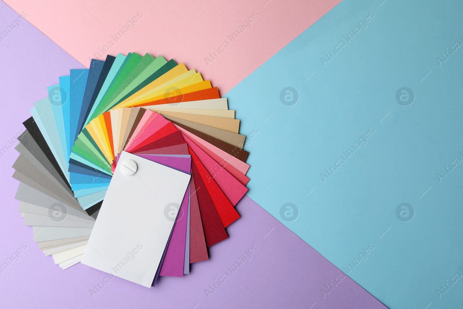 Photo of Color palette on bright background, top view. Space for text