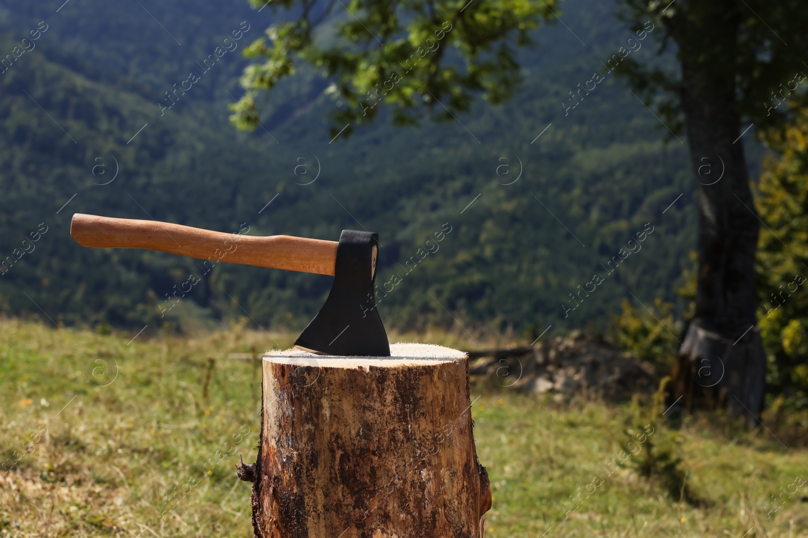 Photo of Tree stump with axe on hill. Professional tool