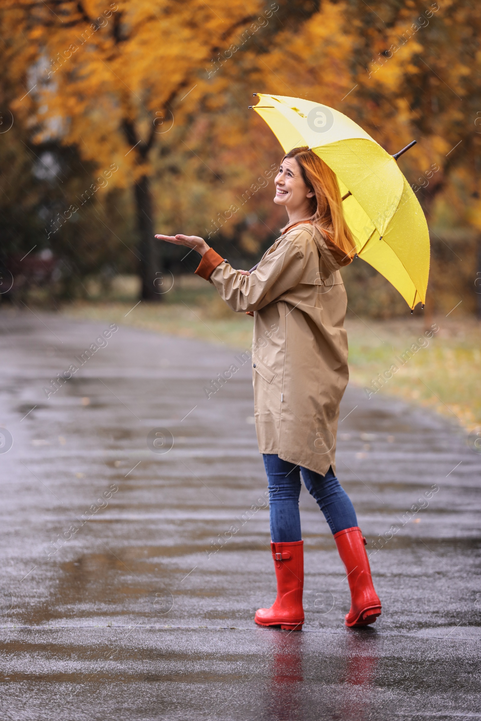 Photo of Woman with umbrella taking walk in autumn park on rainy day