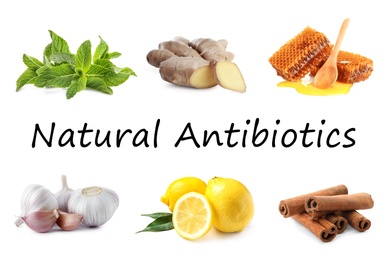 Set of fresh products and text Natural Antibiotics isolated on white