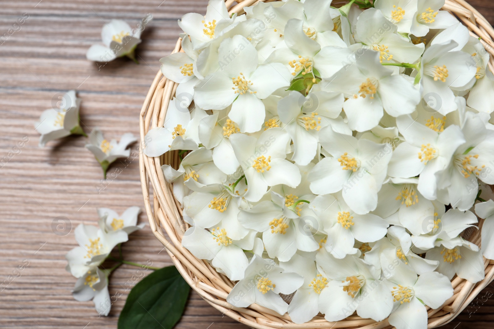 Photo of Wicker bowl with beautiful jasmine flowers on wooden table, top view