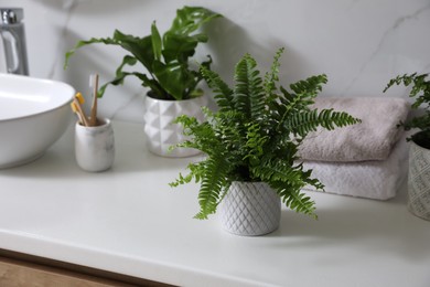 Beautiful green ferns, towels and toothbrushes on countertop in bathroom