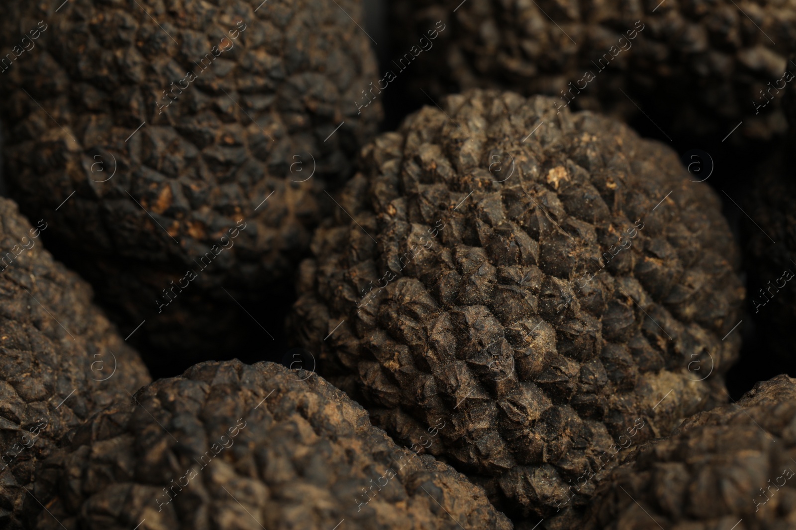 Photo of Closeup view of fresh whole black truffles