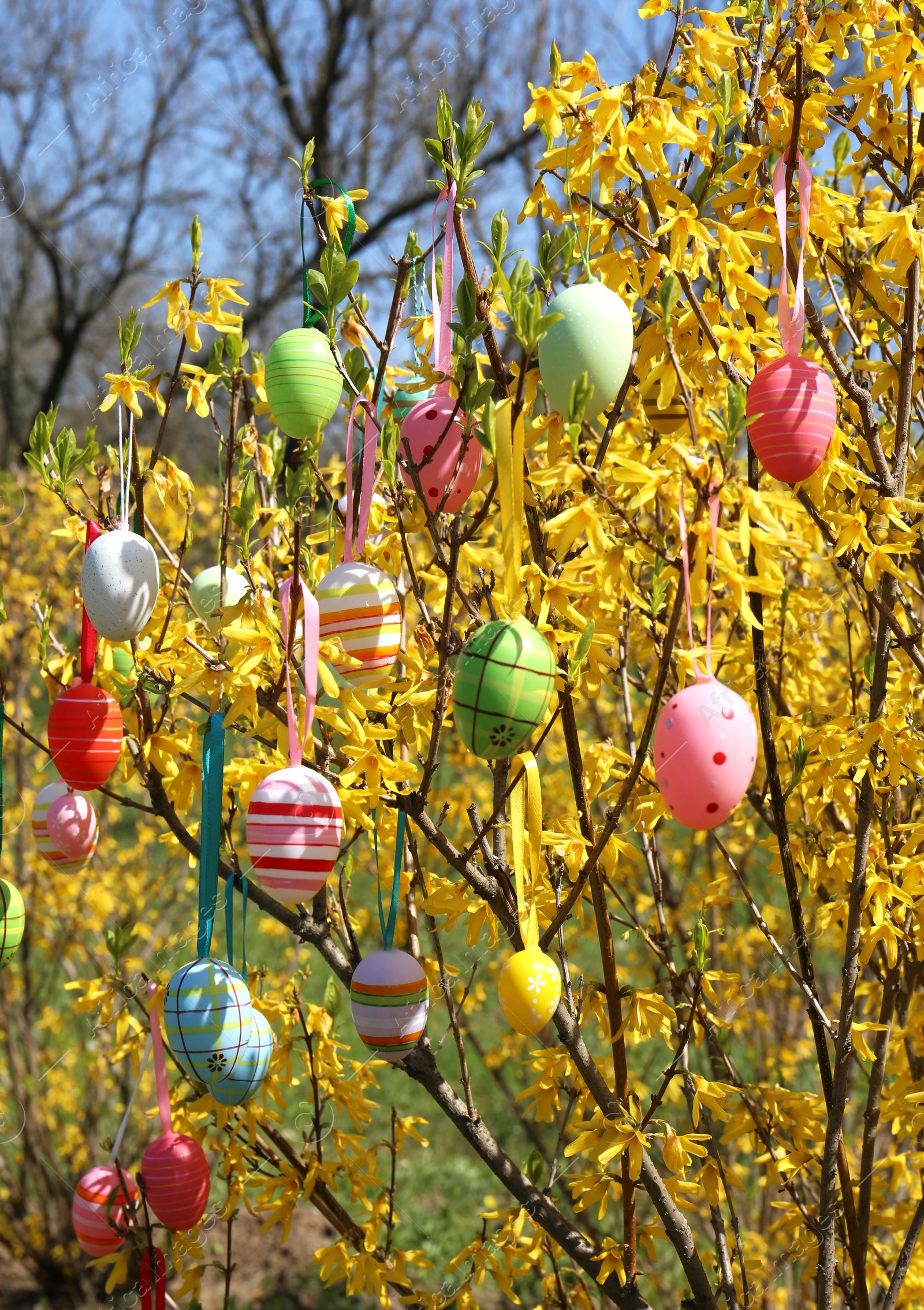 Photo of Beautifully painted Easter eggs hanging on tree outdoors