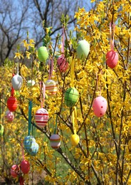 Beautifully painted Easter eggs hanging on tree outdoors