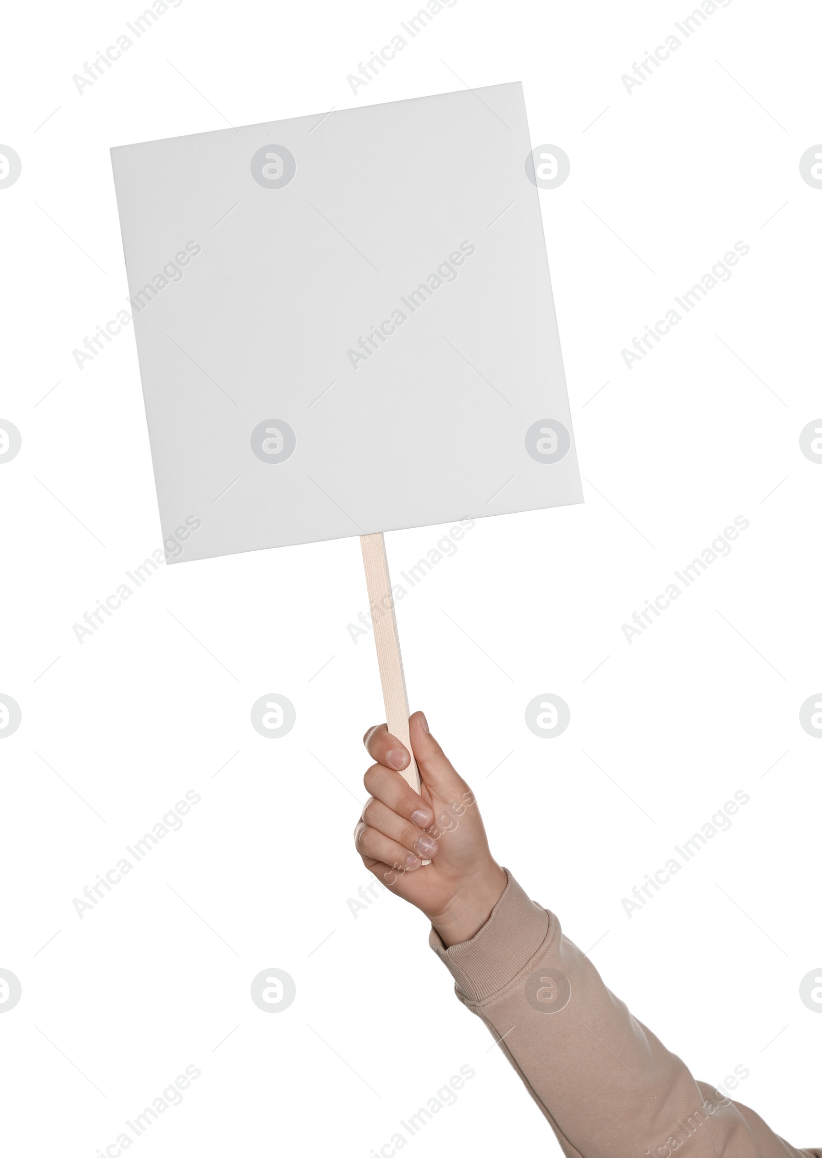 Photo of Man holding blank protest sign on white background, closeup