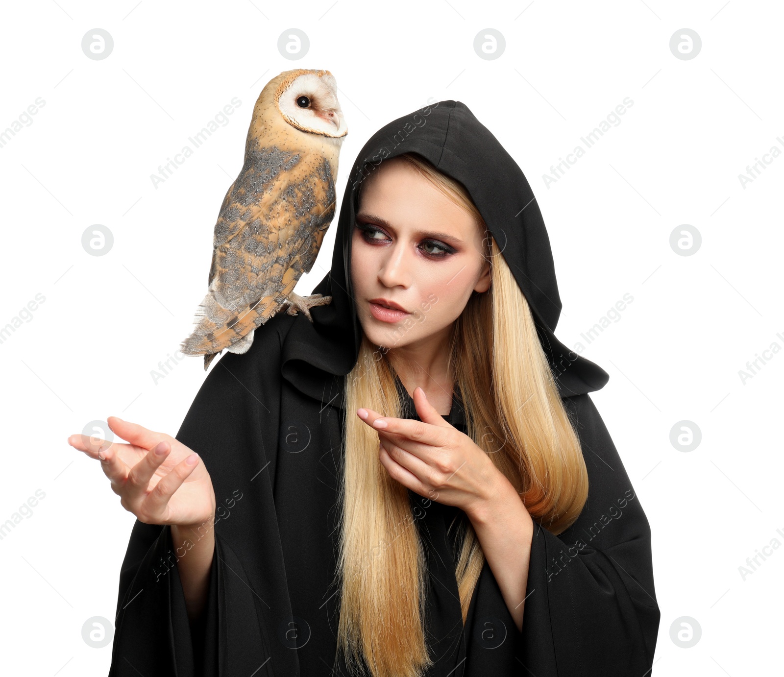 Photo of Witch in black mantle with owl isolated on white. Scary fantasy character