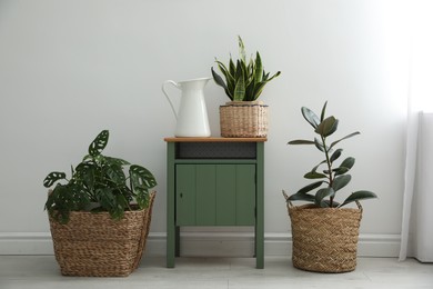 Photo of Different tropical plants in wicker pots near white wall at home