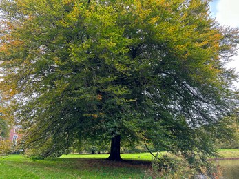 Photo of Beautiful pond and trees in autumn park