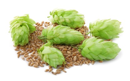 Photo of Fresh green hops and wheat grains on white background