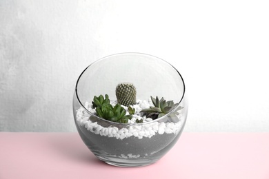 Photo of Glass florarium with different succulents on color background